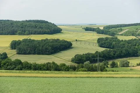 Summer landscape Stock Photos
