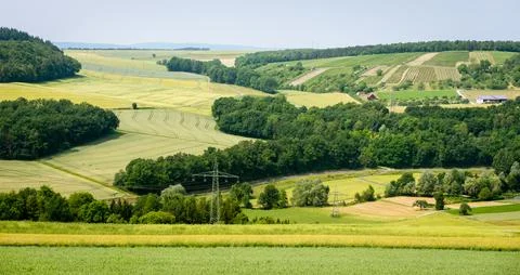 Summer landscape Stock Photos