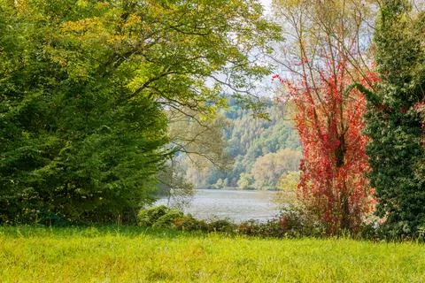 Summer landscape Stock Photos