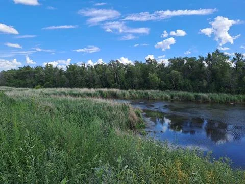Summer landscape Stock Photos