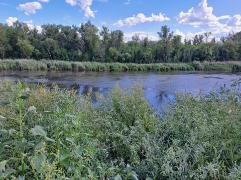 Summer landscape Stock Photos