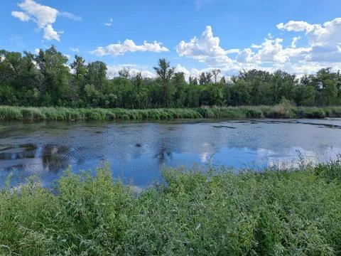 Summer landscape Stock Photos