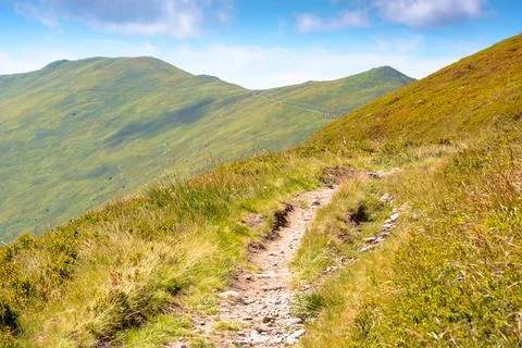 Summer landscape Stock Photos