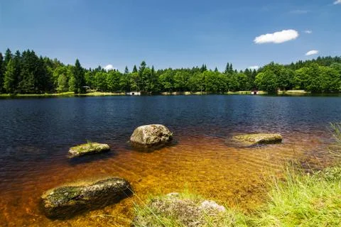 Summer landscape with a pond Stock Photos