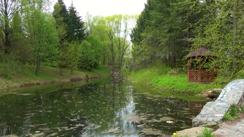 Summer landscape with a pond, a stone bridge and a wooden gazebo Video stock 306362011