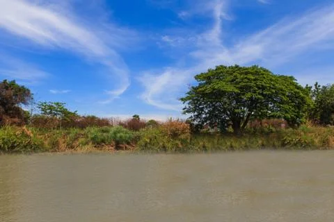 Summer landscape with river and blue sky Stock Photos