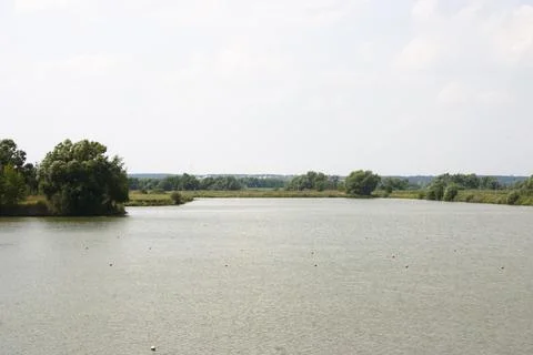 Summer landscape of the river and trees on the bank of the river Stock Photos