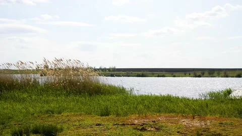 Summer landscape on the river bank Видео 211162704