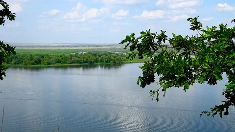 Summer landscape on the river bank Stock Footage 310045261