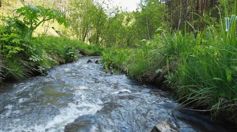 Summer landscape with river Stock Footage 39694734