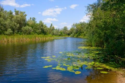 Summer landscape on river Stock Photos