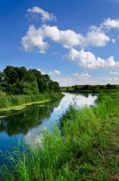 Summer landscape with a river Stock Photos