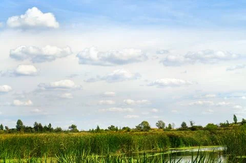 Summer landscape with a river Stock Photos