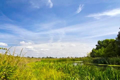 Summer landscape with a river Stock Photos