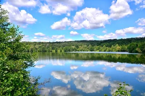 Summer landscape with a river Stock Photos