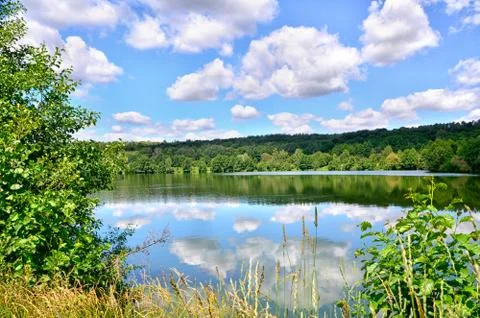 Summer landscape with a river Stock Photos