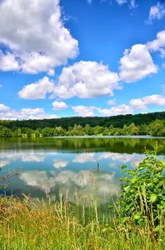 Summer landscape with a river Stock Photos