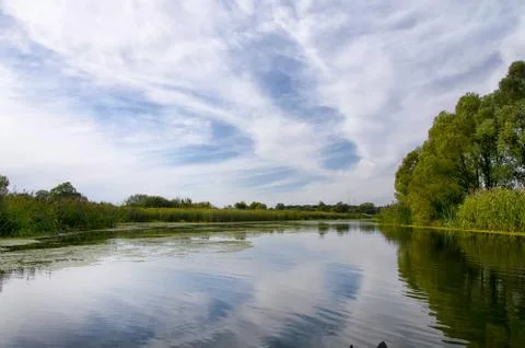 Summer landscape with a river Stock Photos