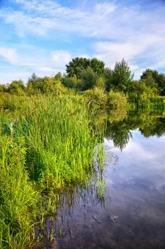 Summer landscape with a river Stock Photos