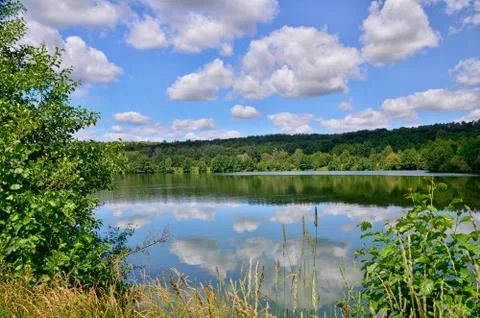 Summer landscape with a river Stock Photos
