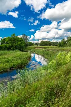 Summer landscape with river Stock Photos