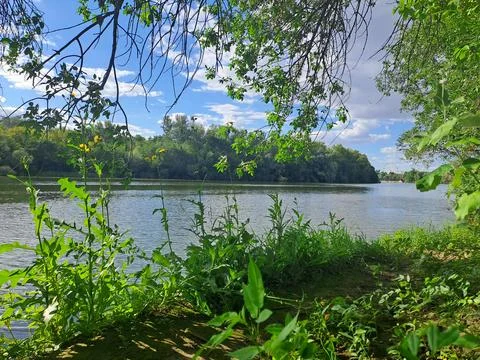 Summer landscape river Stock Photos