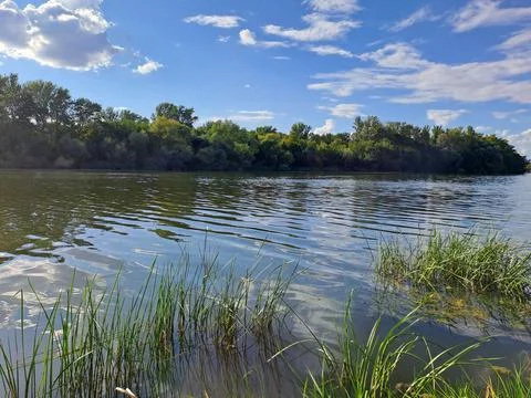 Summer landscape with river reflection and lush woodland 库存照片