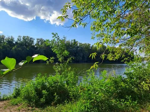Summer landscape with river reflection and lush woodland Stock Photos