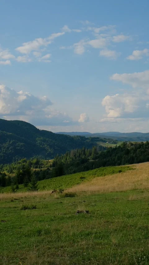 Summer Landscape with Rolling Hills, Forests, and Clear Blue Sky 스톡 동영상 293152194