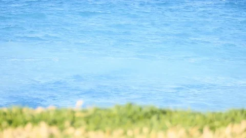 Summer landscape on the sea Stock Footage 73938134