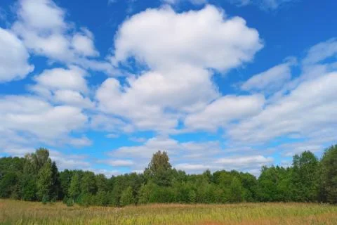 Summer landscape with sky, clouds, grass and trees Stock Photos