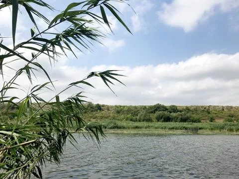 Summer landscape: sky, clouds, river and green reeds Stock Photos