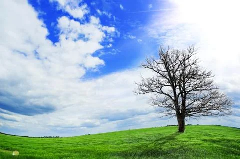 Summer landscape with sky Stock Photos