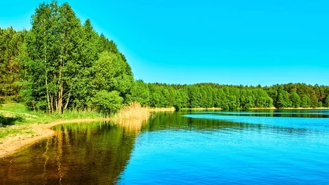 Summer landscape of small river Stock Footage 99742982