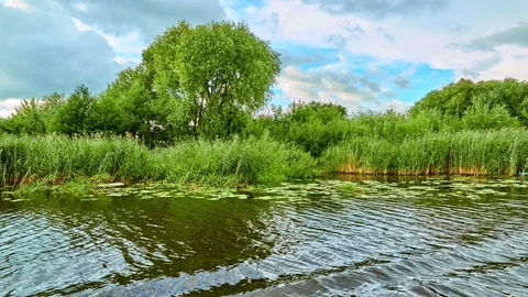 Summer landscape of small river Stock Footage 100085106