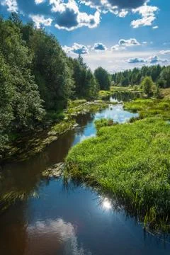 Summer landscape with a small river. Stock Photos