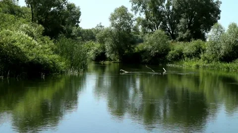 Summer landscape of small rivers. Видео 8620979