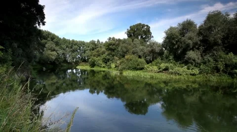 Summer landscape of small rivers. Stock Footage 8621097