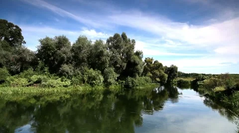 Summer landscape of small rivers. Video stock 8655474