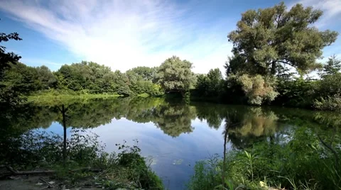 Summer landscape of small rivers. II. Видео 8678030