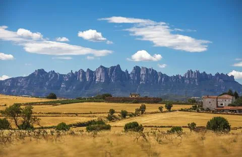 Summer landscape. Spain Stock Photos