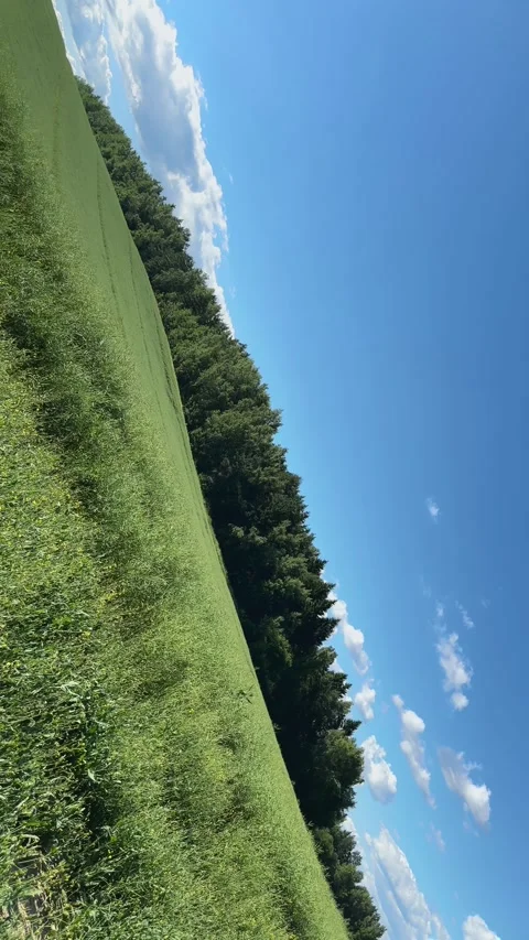 Summer landscape spinning through full rotation upside down. Green hillside.. Stock Footage 340144844