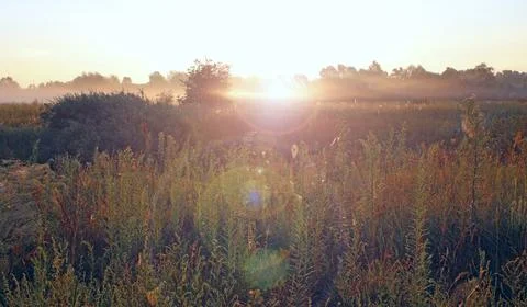 Summer landscape with sunny rays falling to field from white clouds on blue s Stock Photos