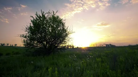 Summer landscape - sunset Stock Footage 11133374