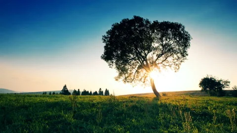 Summer landscape - sunset Stock Footage 104919738