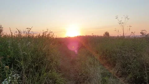 Summer Landscape With A Sunset Stock Footage 139298207