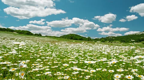 Summer landscape - timelapse. 4K. FULL HD, 4096x2304. Stock Footage 34975376