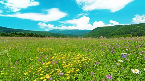 Summer landscape. timelapse. 4K. FULL HD, 4096x2304. Stock Footage 35253010