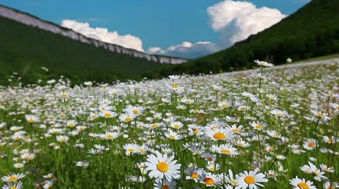 Summer landscape - timelapse Stock Footage 8973312