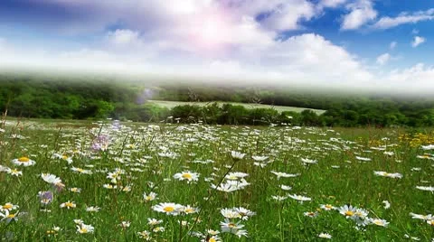 Summer landscape - timelapse Stock Footage 10589046